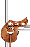 Body Colors